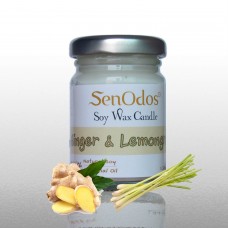 Ginger + Lemongrass - 45g